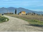 Appartamento in affitto a Marciana - Cascina 85 mq  Rif: 1230593