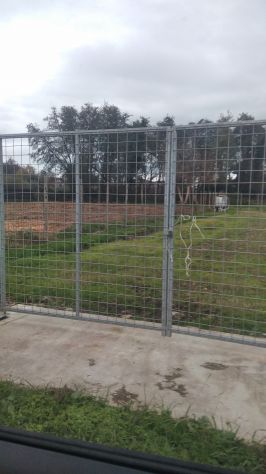 Terreno commerciale in affitto per mostra
