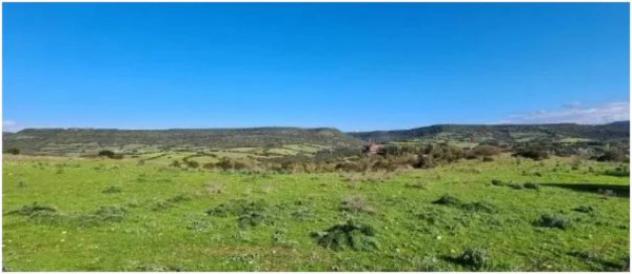 Immobile in asta di 22900 m² in vendita a Fordongianus - Foto 3