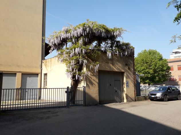 Possibilità alloggio per studentessa o lavoratrice. Ravenna, zona servitissima.
