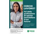 Agente Immobiliare