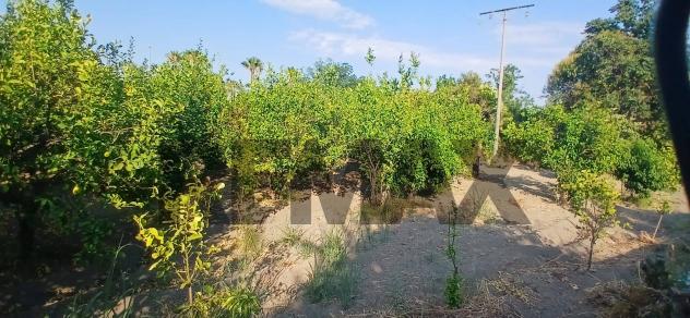 Terreno in vendita a Calatabiano, San Marco - Foto 16