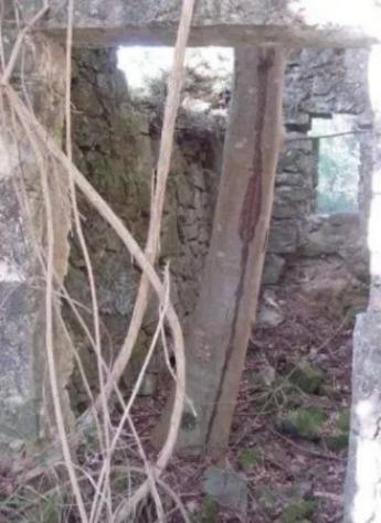 Immobile in asta di 261550 m² in vendita a Follo - Foto 3