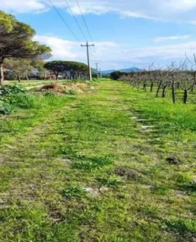 Immobile in asta di 3790 m² in vendita a Capaccio Paestum - Foto 6