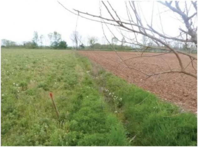 Immobile in asta di 29838 m² in vendita a Paese - Foto 4