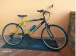 Mountan Bike da uomo