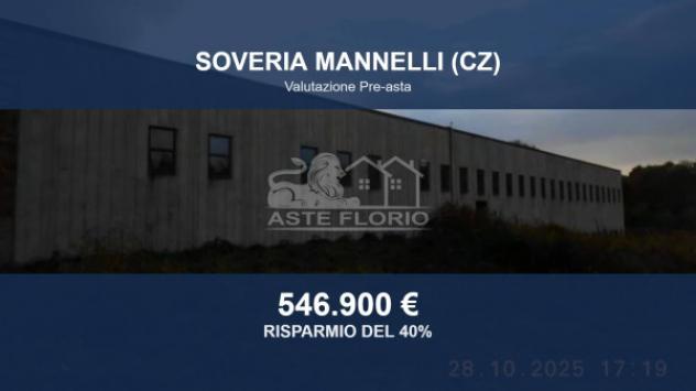 Immobile in asta di 5721 m² in vendita a Soveria Mannelli