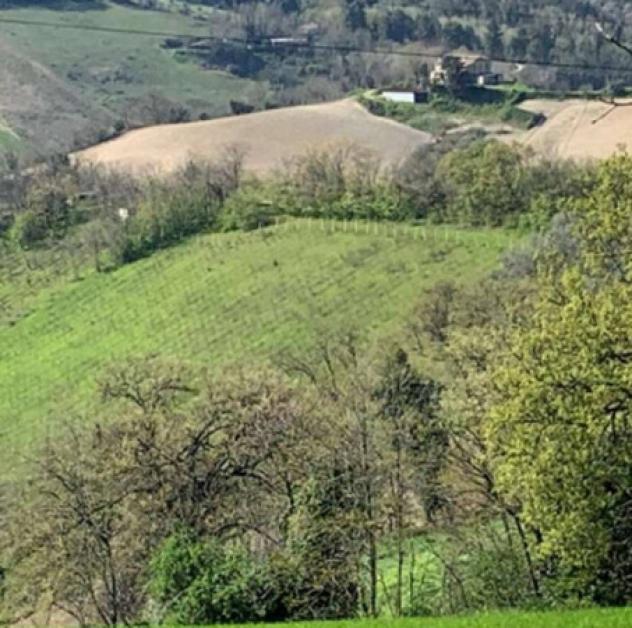 Immobile in asta di 81 m² in vendita a Monte Vidon Combatte - Foto 6