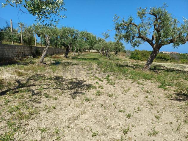 Terreno in vendita a Pachino - Foto 5