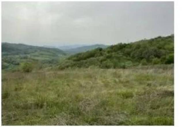 Immobile in asta di 11603 m² in vendita a Ruoti - Foto 5