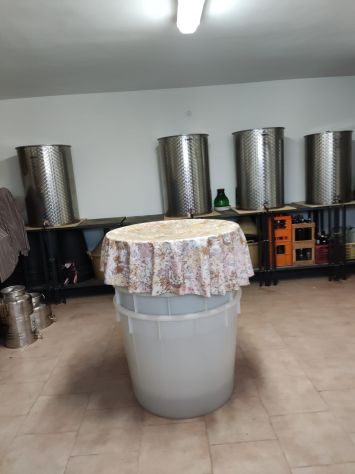 Attrezzatura per vinificazione - Foto 2