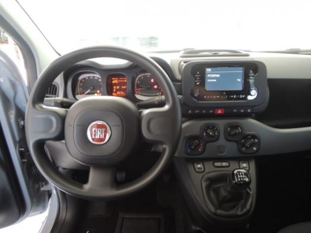 FIAT Panda 1.0 FireFly S&S Hybrid City Life rif. 24013257 - Foto 8