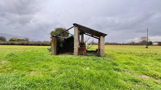 Terratetto in vendita a Macchie di San Piero - Pescia 200 mq Rif: 1390448 - Foto 4