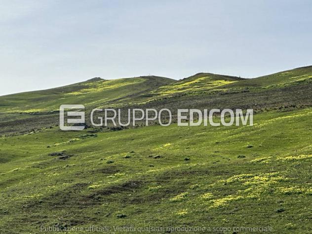 Terreno di 13580 mq in vendita a Castronovo di Sicilia - Rif. 4547821