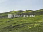 Terreno di 13580 mq  in vendita a Castronovo di Sicilia - Rif. 4547821