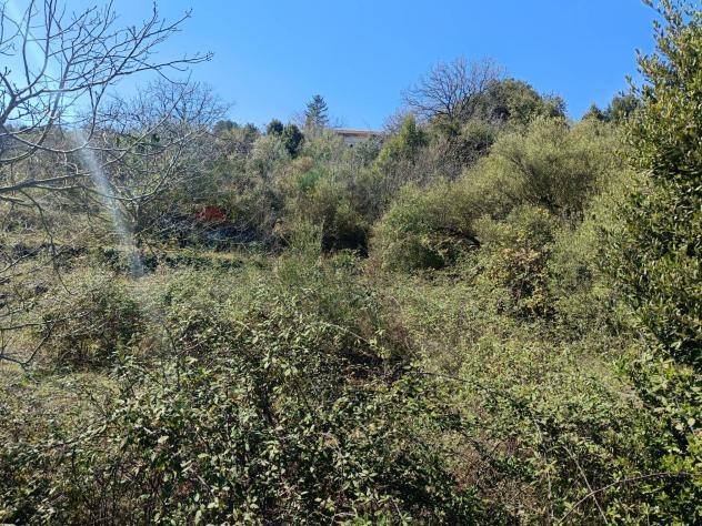 Terreno in vendita a Piedimonte Etneo - Foto 2