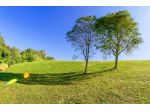 Terreno agricolo in vendita a San Donato - Santa Maria a Monte 6500 mq  Rif &hellip;