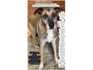 Poldo DOPO 12ANNI HA VISTO L ERBA ..SOS LECCO