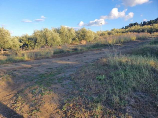 Immobile in asta di 37140 m² in vendita a Carlentini - Foto 6