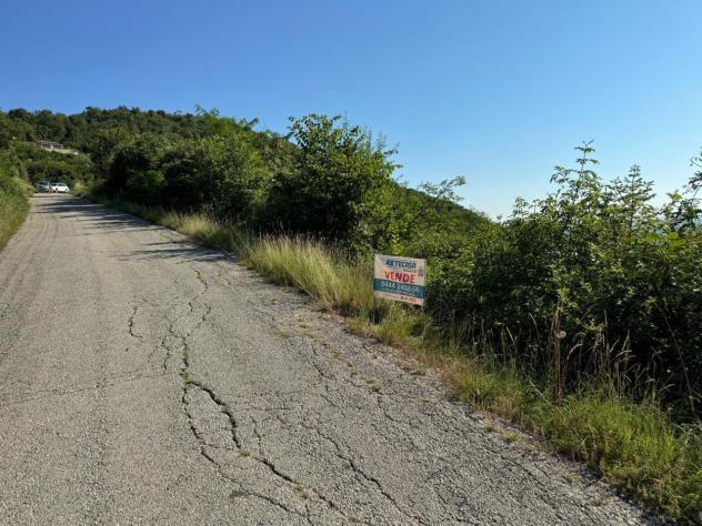 Bosco in vendita a Castegnero - Foto 2