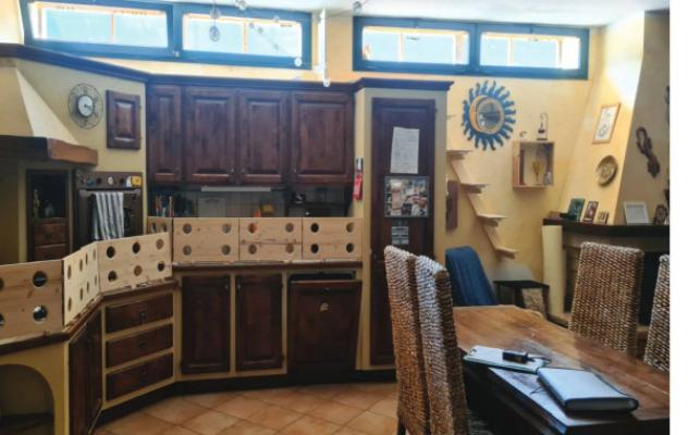 Immobile in asta di 87 m² in vendita a Ardea - Foto 12