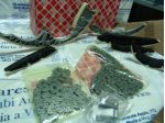 Kit Catena Distribuzione Audi A4 - A5 - A6 3.0TDI 059109229S
