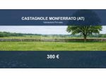 Immobile in asta di 3290 m² in vendita a Castagnole Monferrato