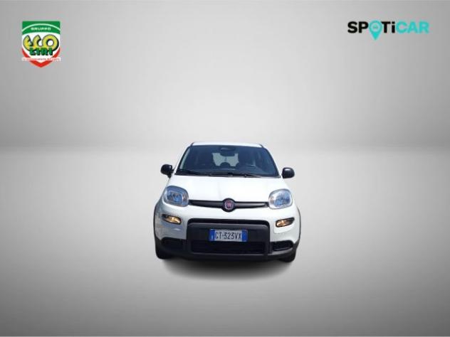 FIAT Panda 1.0 FireFly S&S Hybrid rif. 23820569 - Foto 2