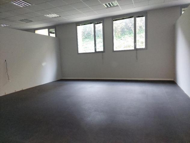 MONZA Cederna - ampio deposito con ingresso indipendente - Foto 6