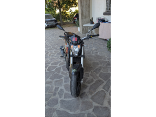 Vendo Benelli BN 251