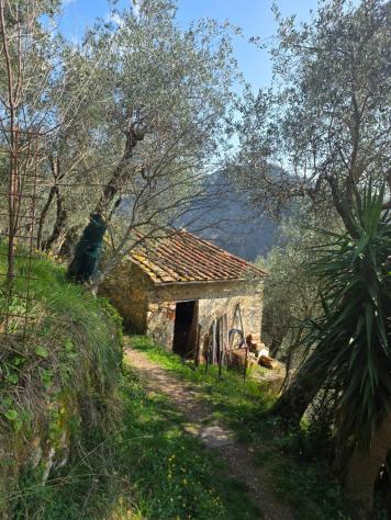 Rustico in vendita a Torcigliano - Camaiore 31 mq Rif: 1409772 - Foto 6