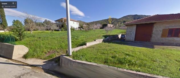 TERRENO AGRICOLO A MONTECORICE PRESSI CASE DEL CONTE/OGLIASTRO MARINA - Foto 8