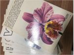 Fiori come riconoscerli e coltivarli.