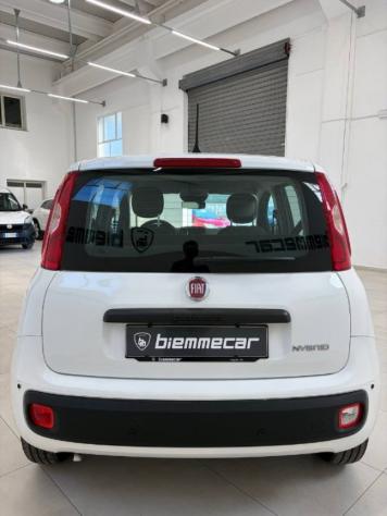 FIAT Panda 1.0 FireFly S&S Hybrid Pandina rif. 23914254 - Foto 5