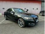 Bmw 218 218d CoupSport Edition Cartier Navi Permute Garantita