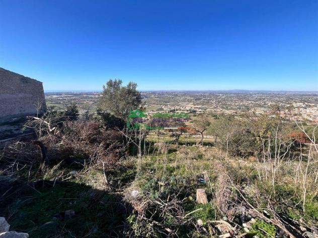 TERRENO AGRICOLO CON CASEGGIATI RURALI - Foto 3