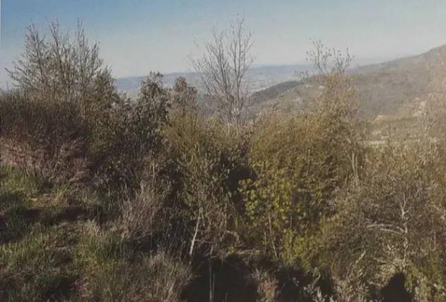 Immobile in asta di 65380 m² in vendita a Nocera Umbra - Foto 9