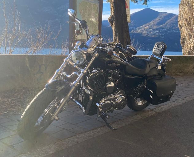 HARLEY DAVIDSON SPORTSTER XL 1200 CUSTOM 2011