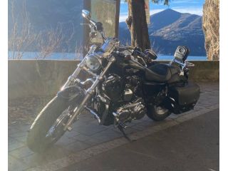 HARLEY DAVIDSON SPORTSTER XL 1200 CUSTOM 2011