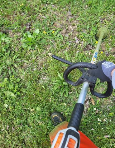 CERCASI OPERAIO GIARDINIERE O AIUTO GIARDINIERE PER ASSUNZIONE URGENTE - Foto 3