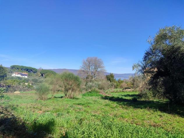 Terreno Edificabile - Rif. 2365 - Foto 4