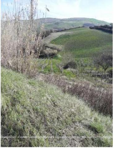 R.G.E. 9/2024 Potenza - Foto 2