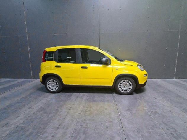 FIAT Pandina Pandina 1.0 firefly hybrid Pop 65cv - Foto 7