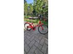 Bici bambino 20 polici