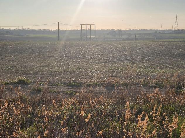 Industriale in vendita a Tarquinia - Foto 14