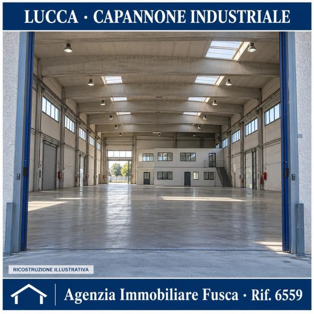 Industriale/Artigianale in vendita a Lucca - Foto 10