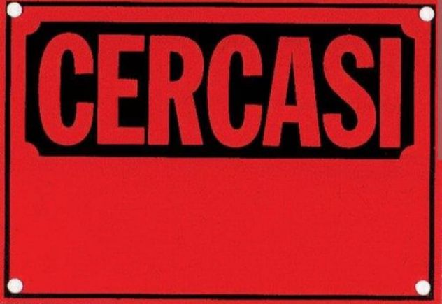 Cerco Ducati vari modelli da sistemare