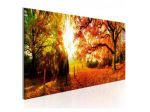 Quadro Foresta Autunnale ARREDALACASA
