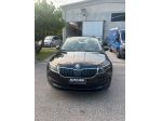 Skoda Karoq 2.0 TDI EVO SCR 115 CV DSG Executive