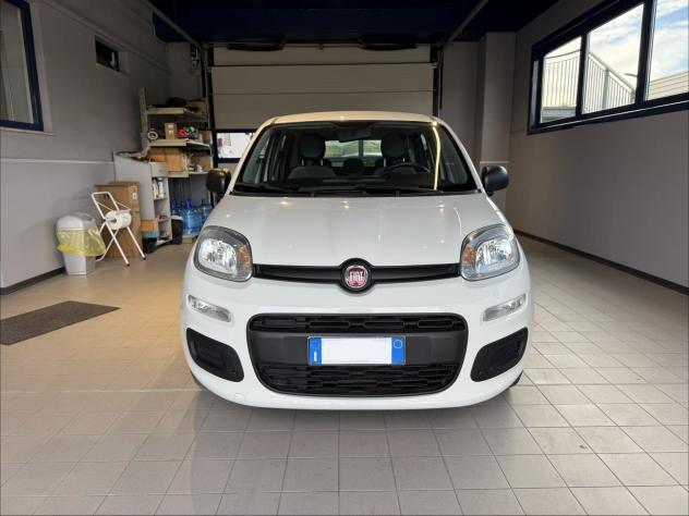 FIAT Panda 1.0 FireFly 70cv S&S Hybrid - Foto 8